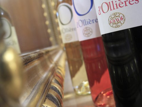 chateau dollieres 28